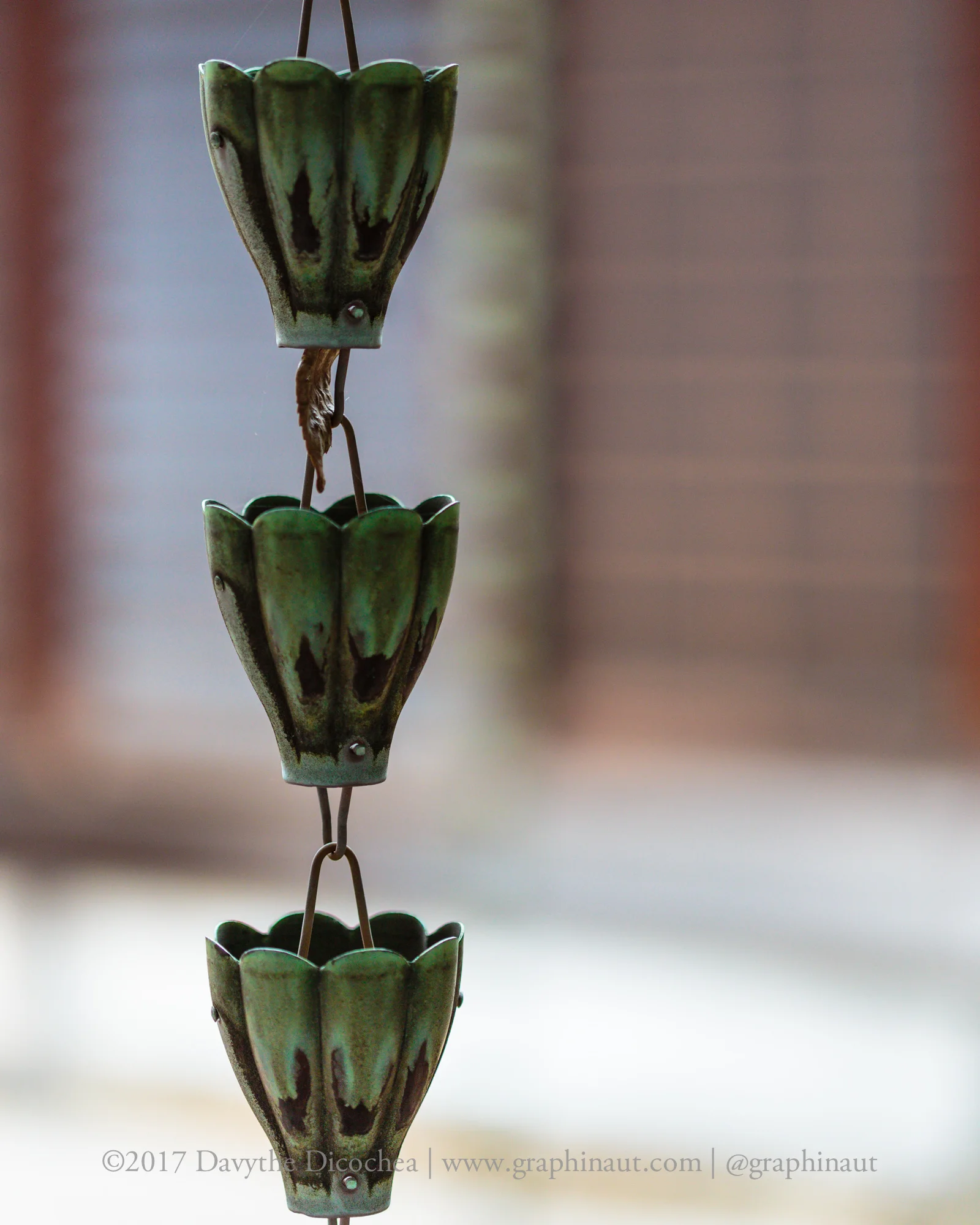 Rain Chain, Tokyo