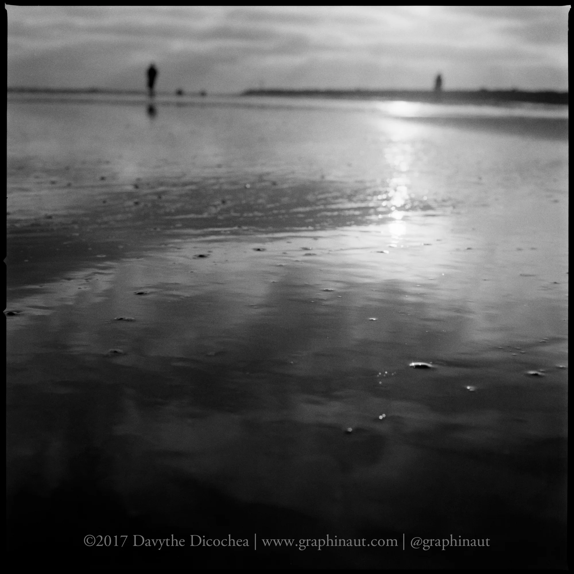 Wet Sand, California