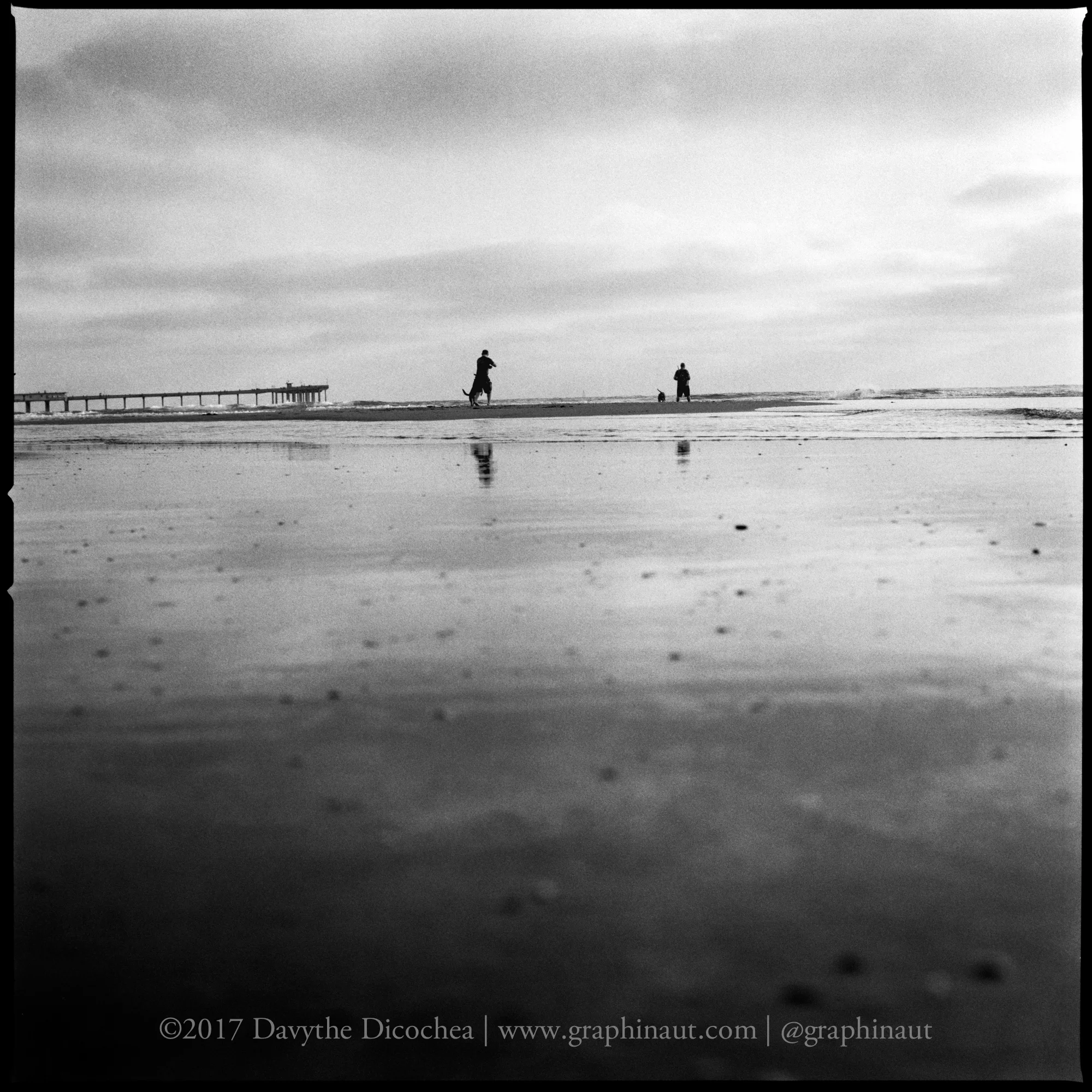 Peaceful Afternoon, California