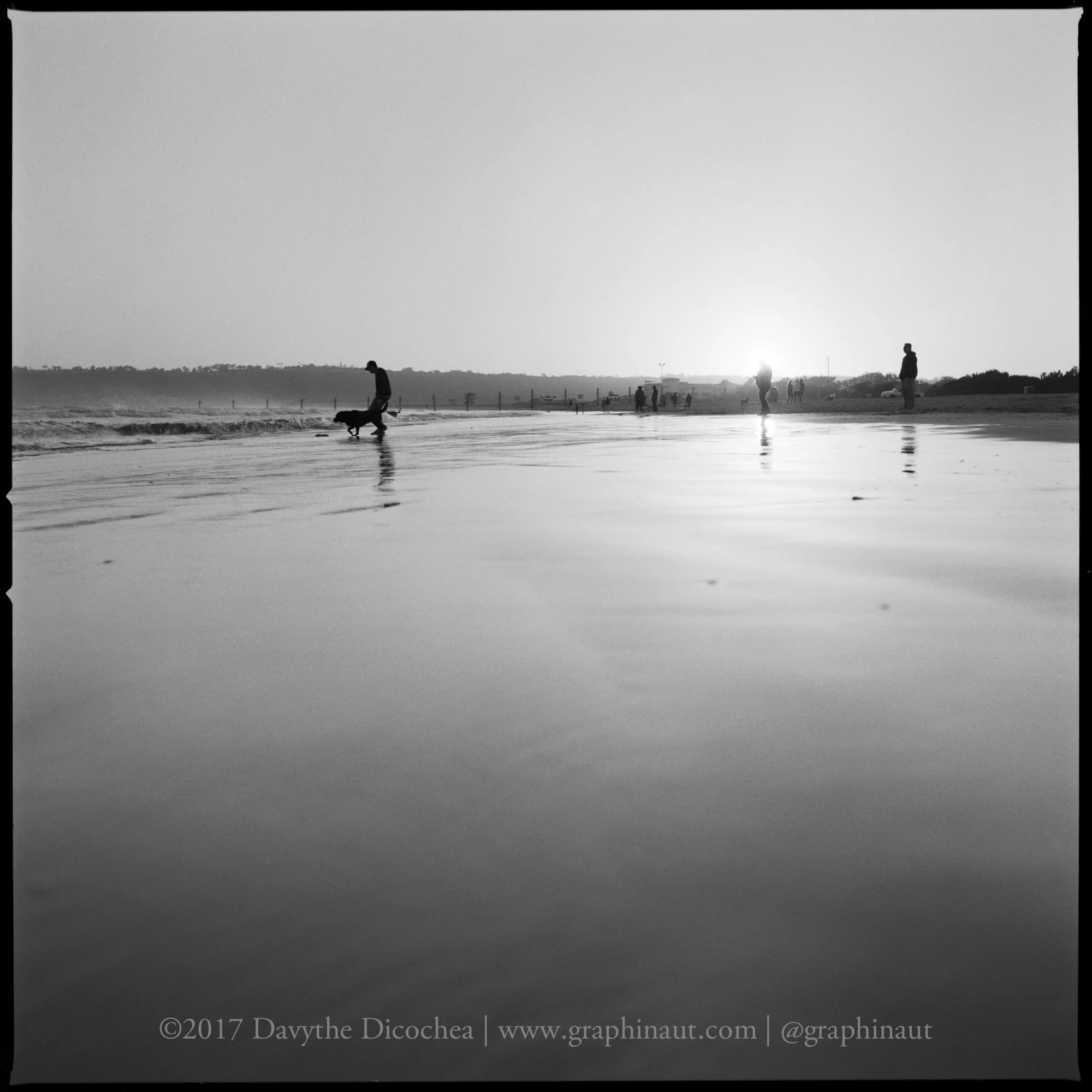 Coronado Dog Beach at Sunset, California