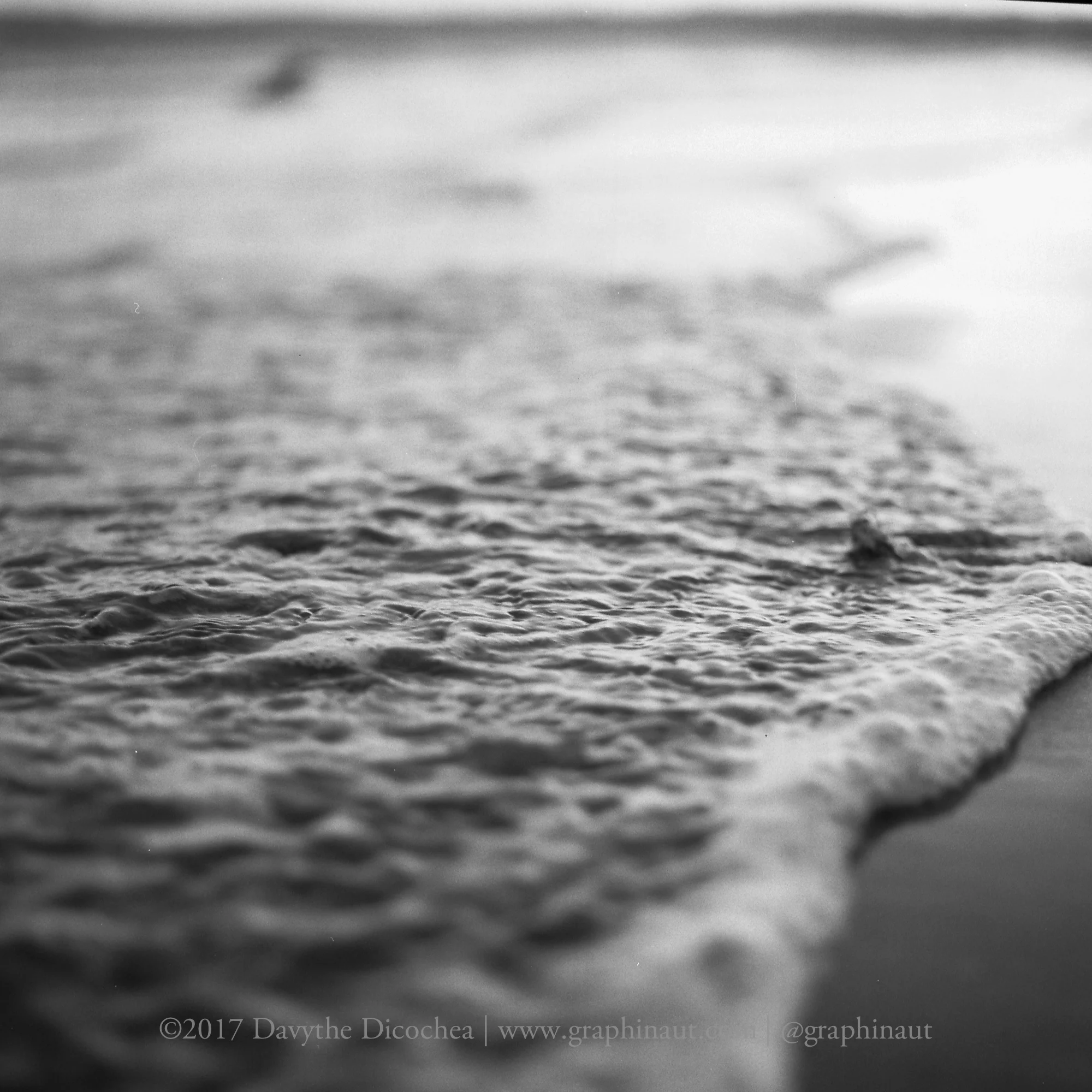 Coronado Beach at Sunset in Black and White, California
