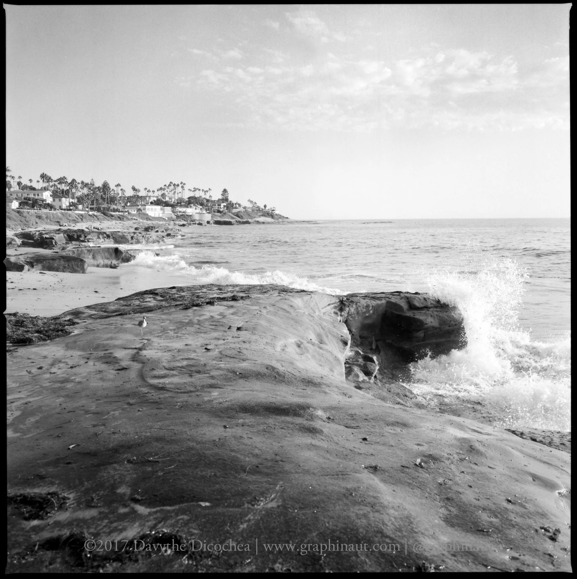Windansea Beach, California