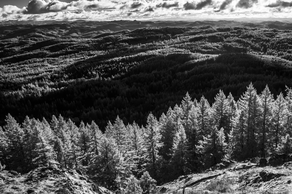 20141226_C261432 © 2014 Erik Hecht.jpg