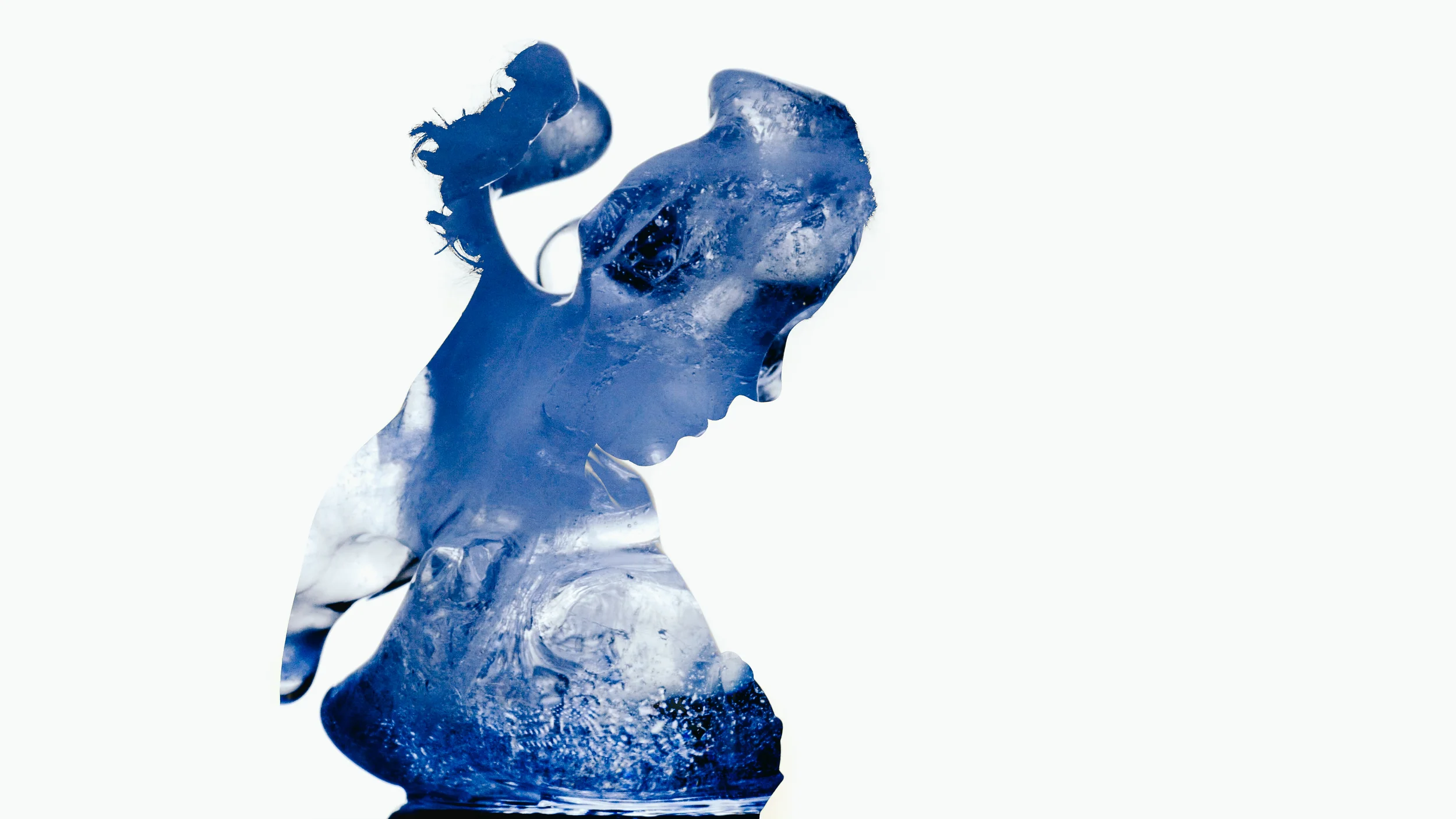 IceAll.jpg