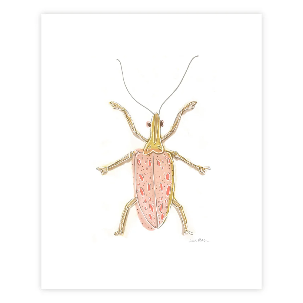 Insect_1_White.jpg