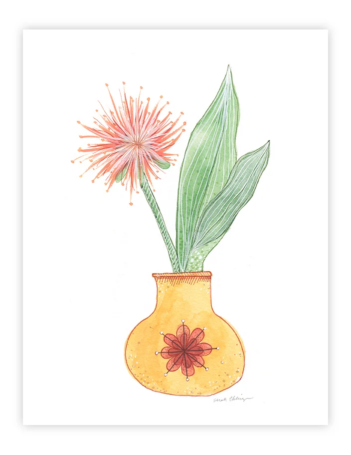 Plant_Pot_Study_9.jpg