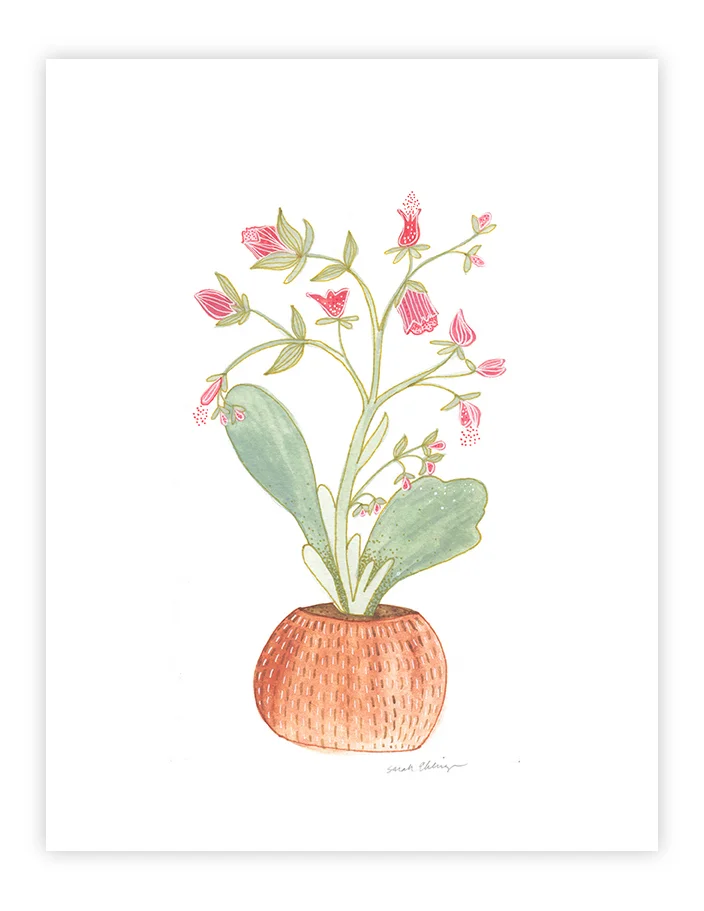 Plant_Pot_Study_10.jpg
