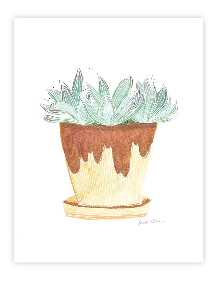 Plant_Pot_Study_15.jpg