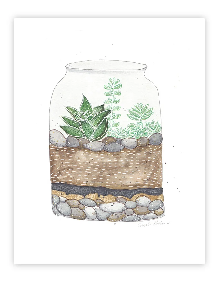 Terrarium_1.jpg