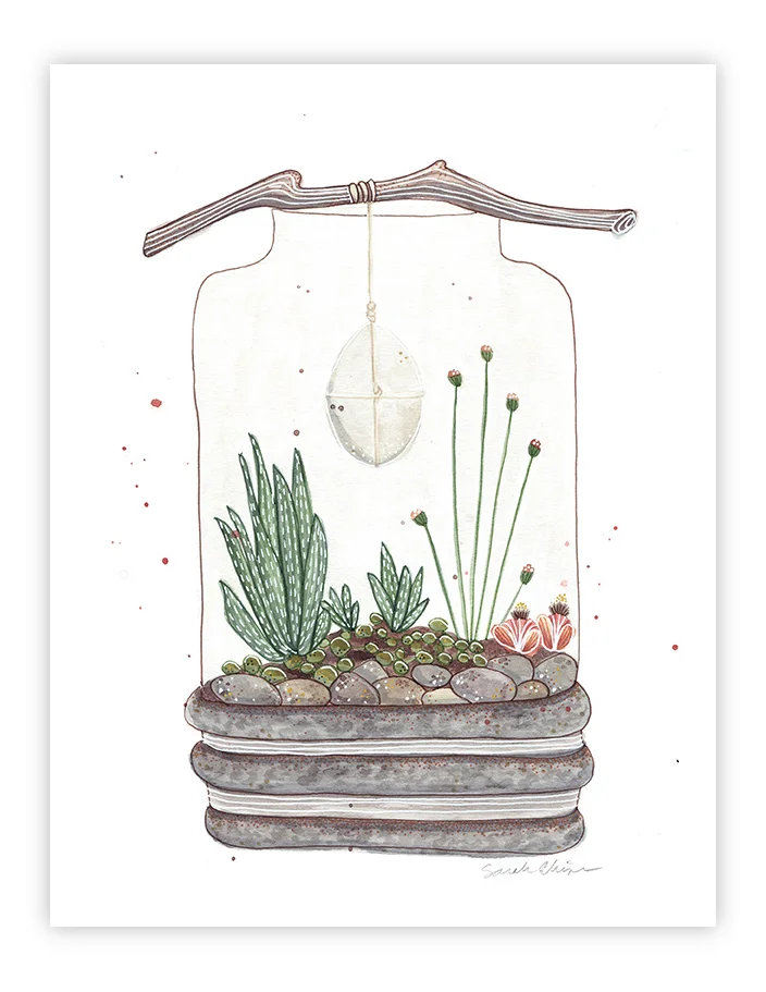 Terrarium_2.jpg