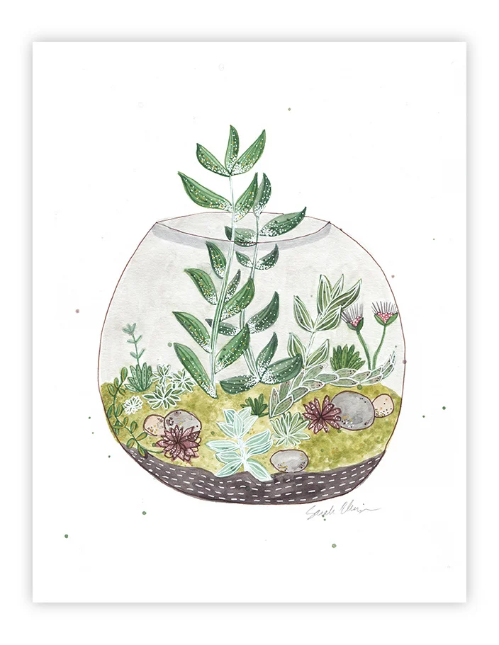 Terrarium_3.jpg