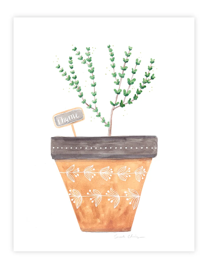 Thyme_herb_Pot_Illustration__artprint_VerySarie.jpg