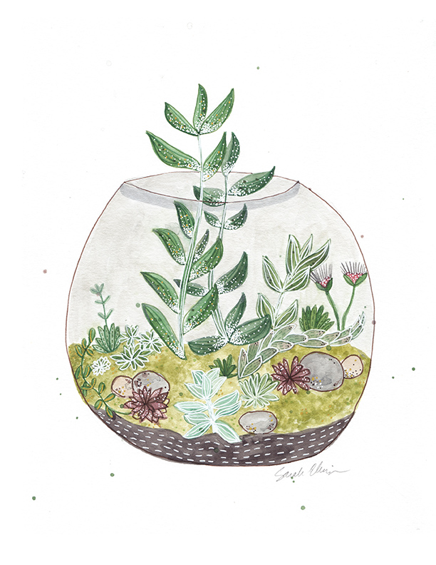 SE_0220_PotsAndPlants_72DPI.jpg