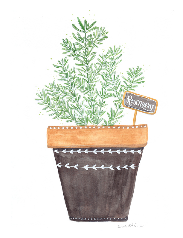 SE_0223_PotsAndPlants_72DPI.jpg