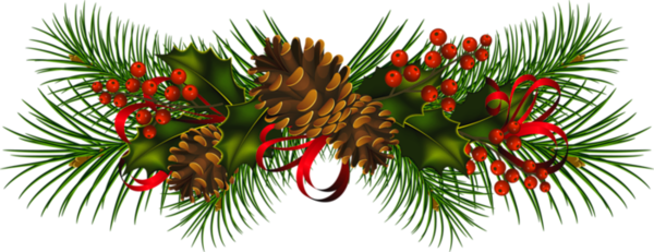Christmas_Pine.png