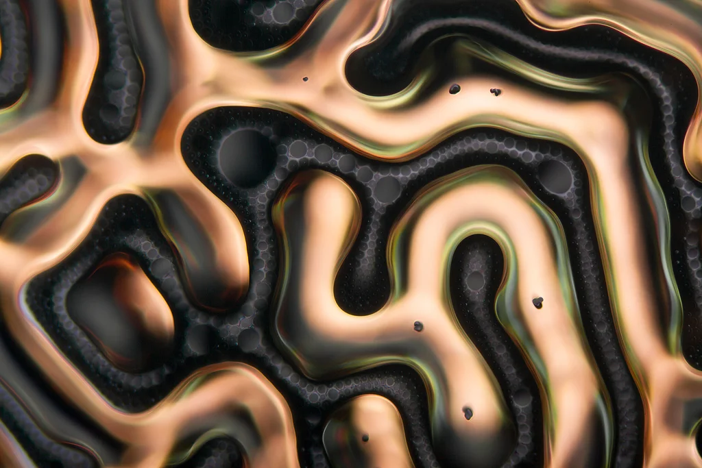 Ferrofluid showing maze like structure under magnetic field