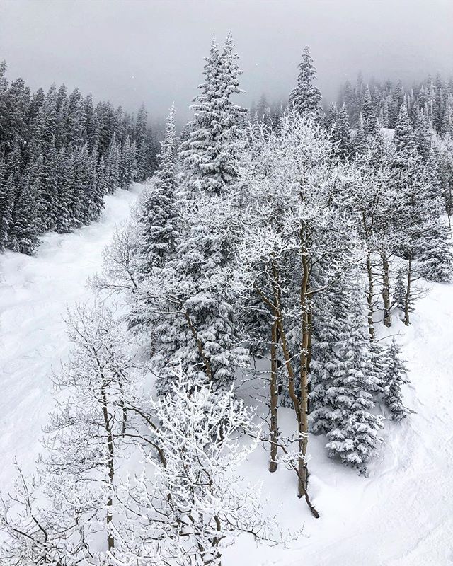 Lovely weekend, and new skis! 😍