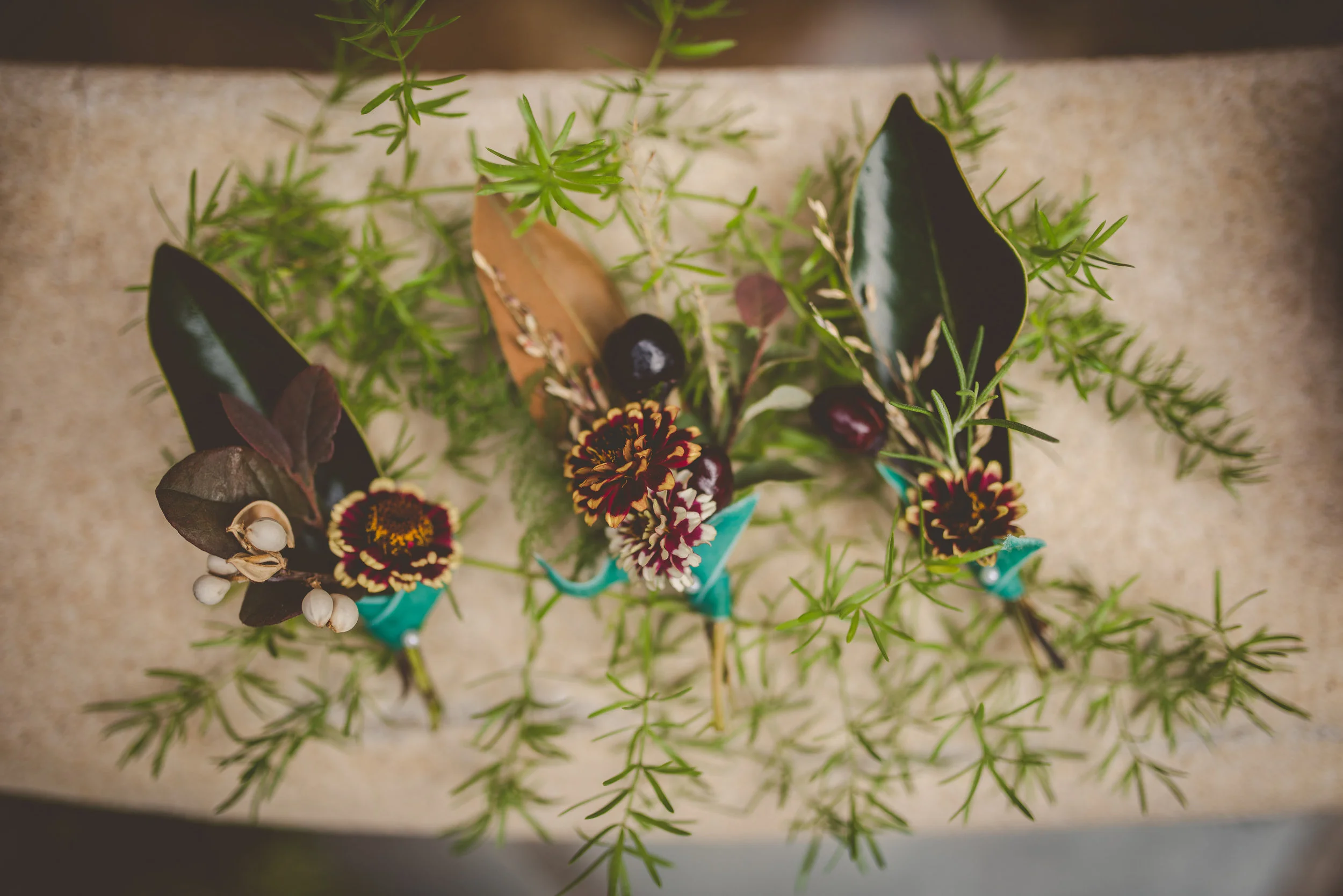 Twig and Olive Photography