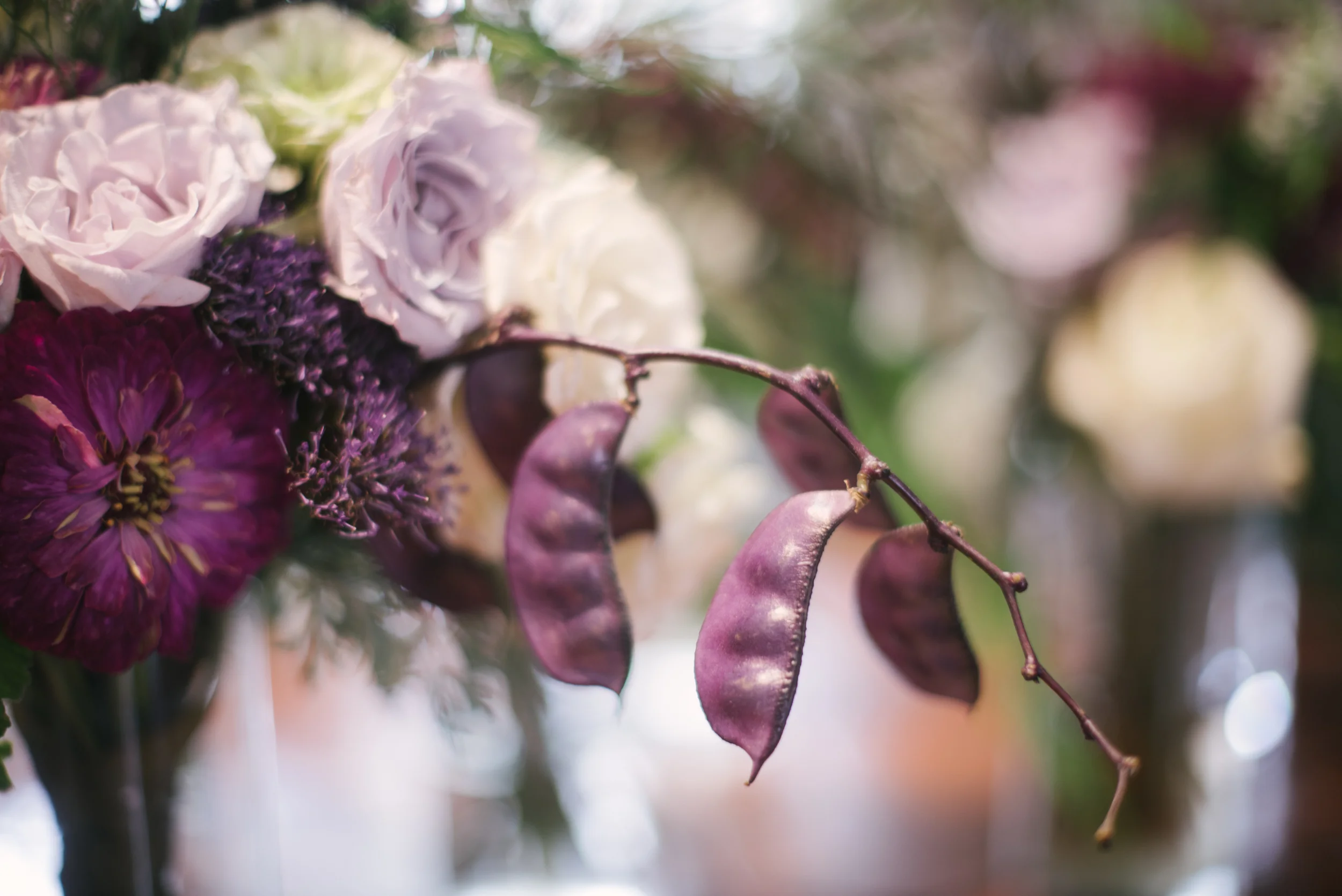 Lauren Carroll Photography