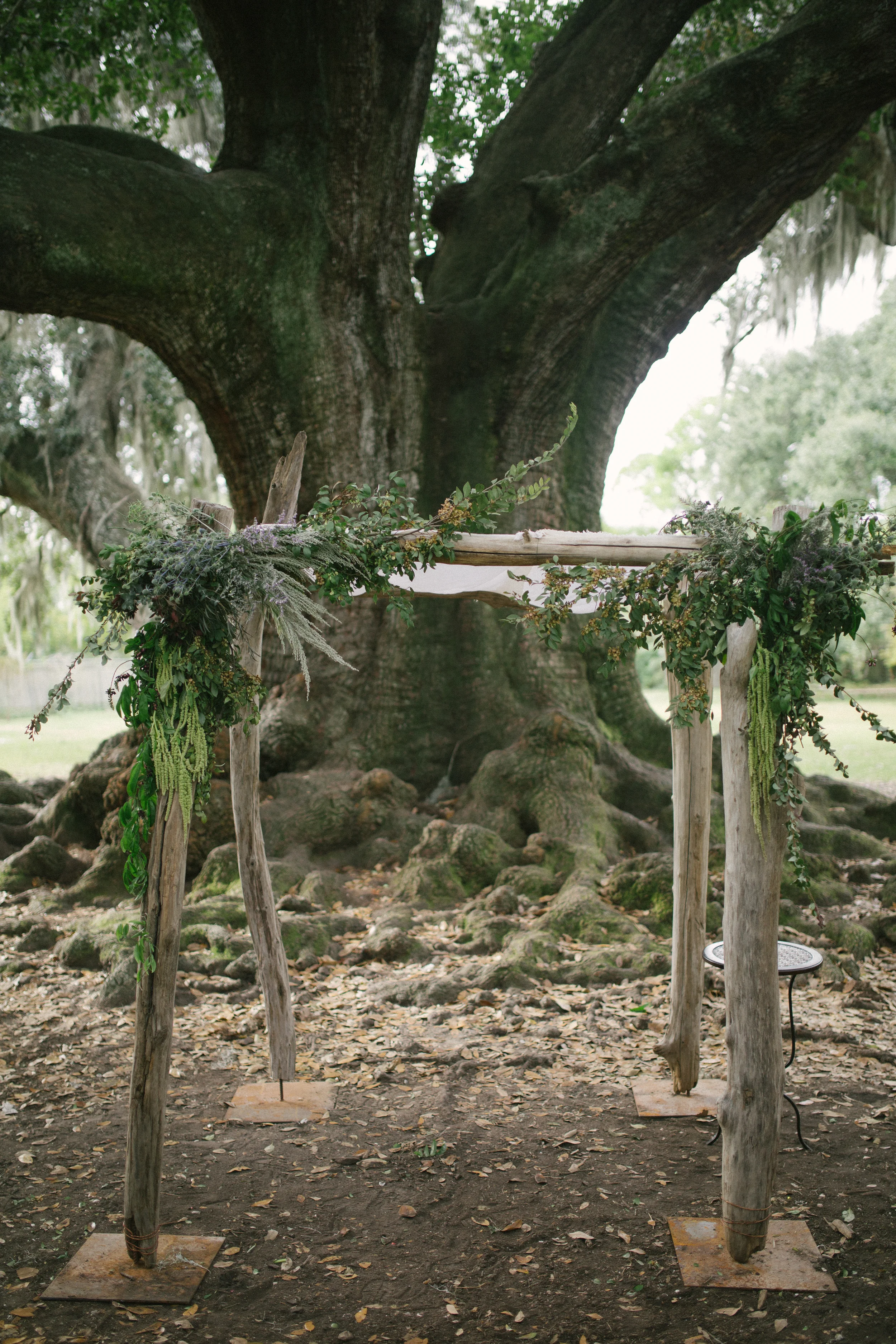 Lauren Carroll Photography