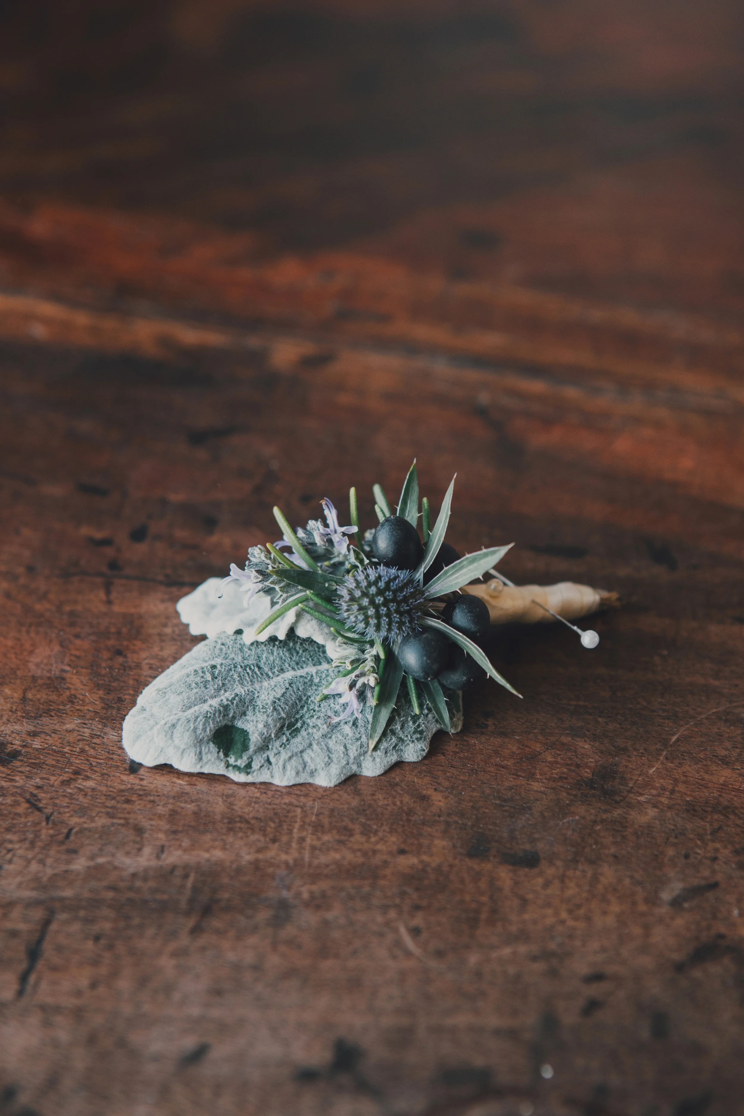 Elizabeth Ray Photography