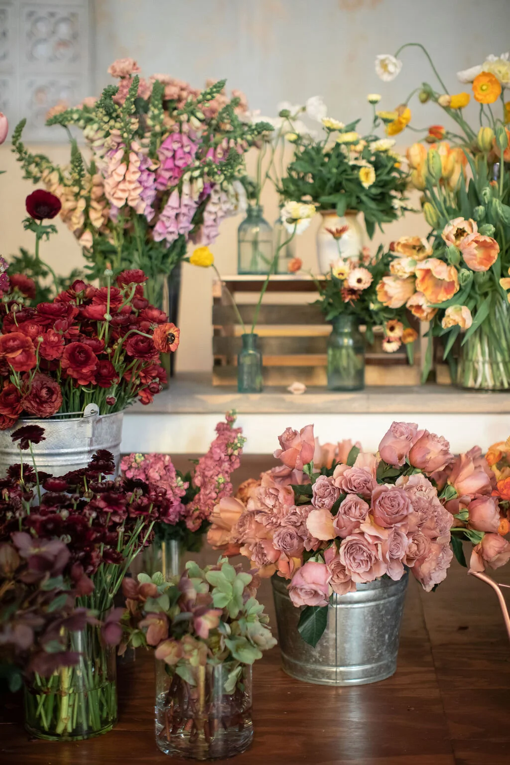 Plant Sale June 5th 10 1 2547 Palmyra St