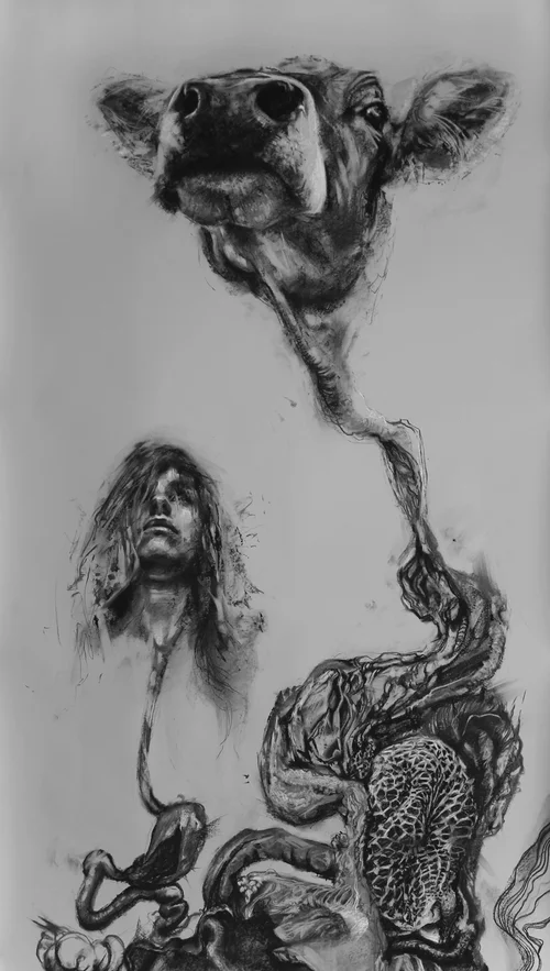 Reticulumlactpunction (close up). 2014. Charcoal. 107" x 38"