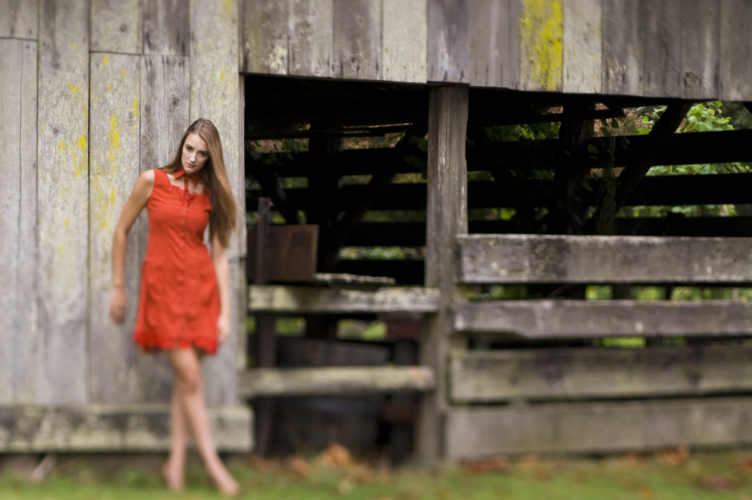 little_red_dress4.jpg