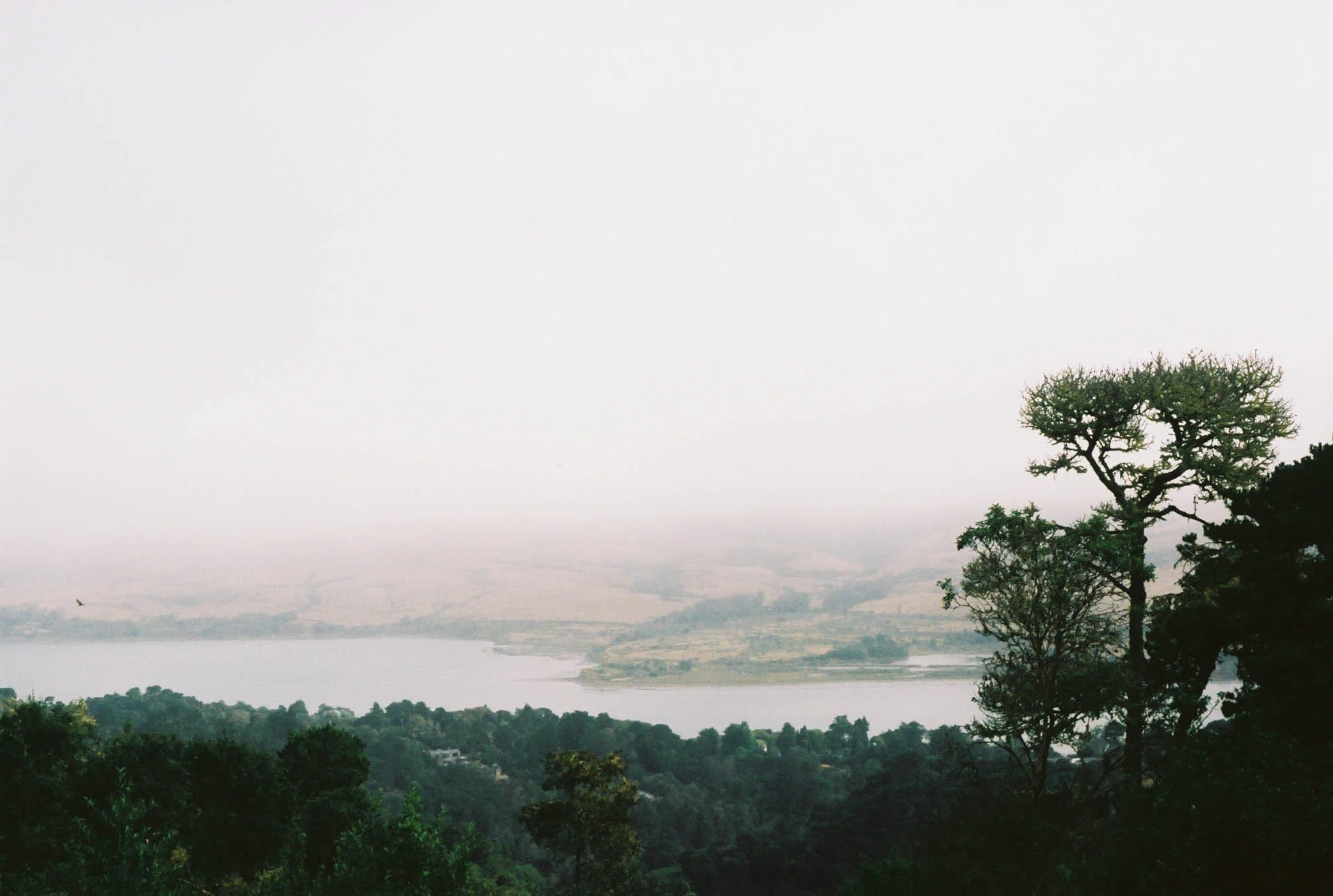 A04310_036.jpg