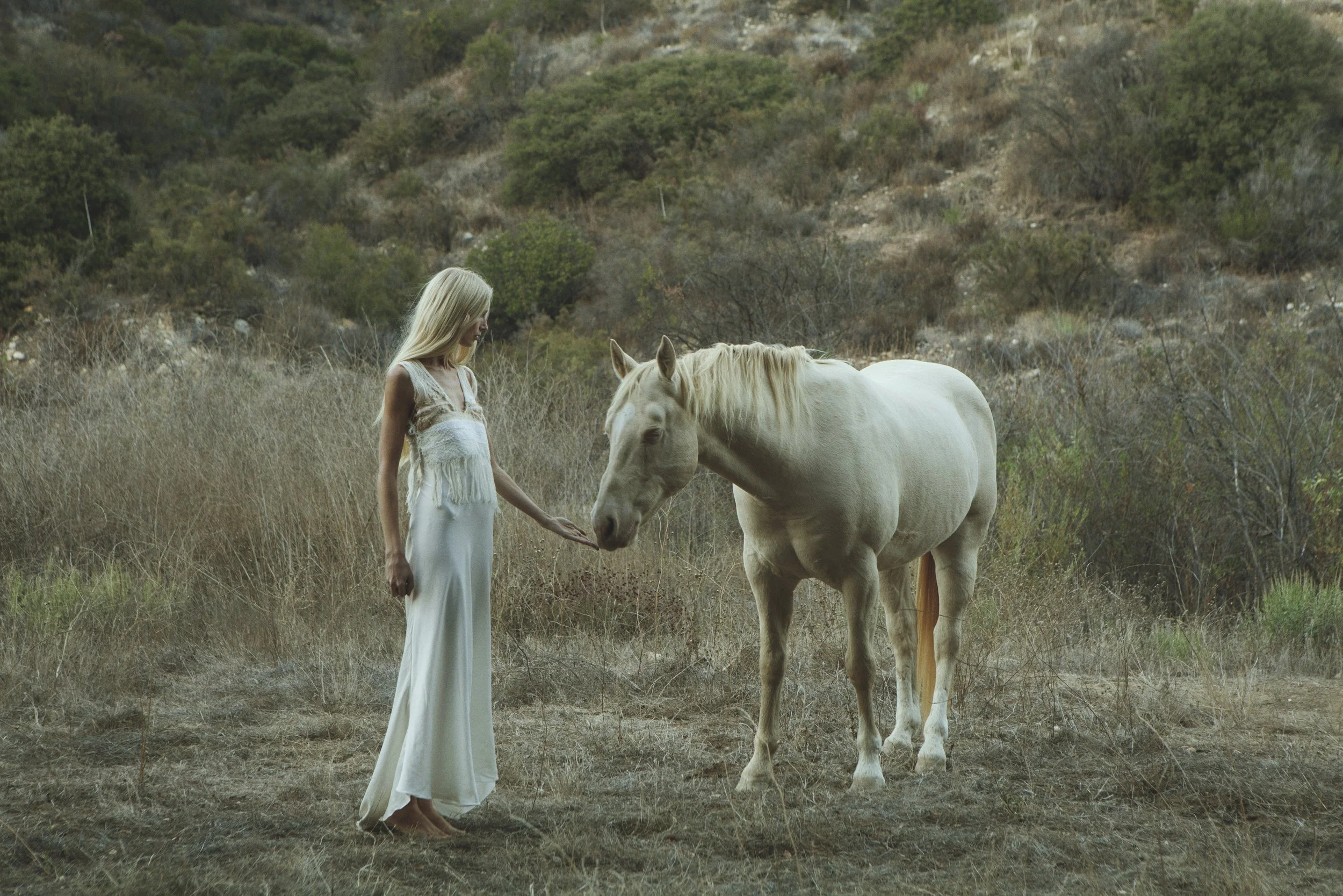 _MG_4999 copy 2.jpeg