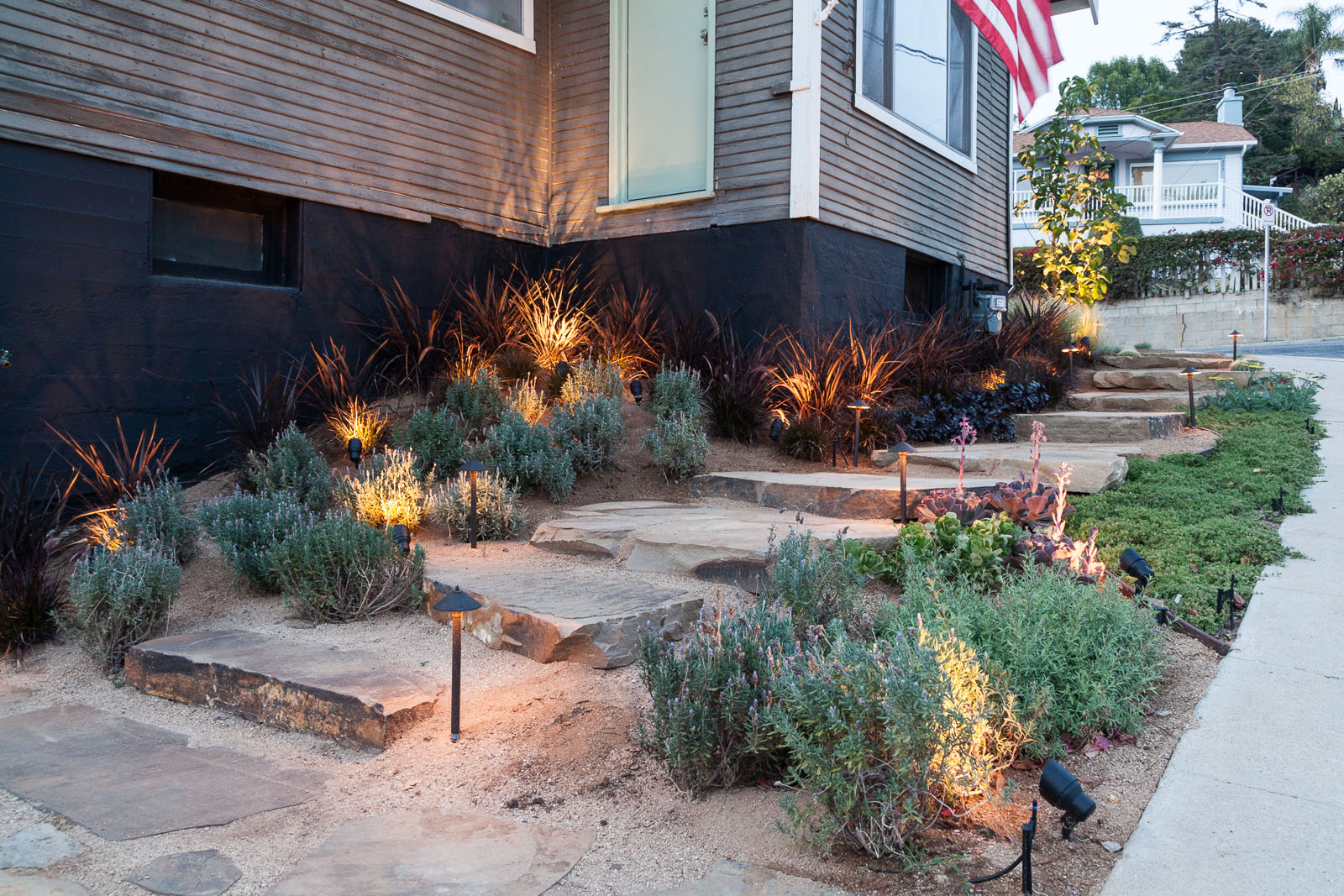 SOUTH GARDEN-SUCCULENTS AND GRASSES