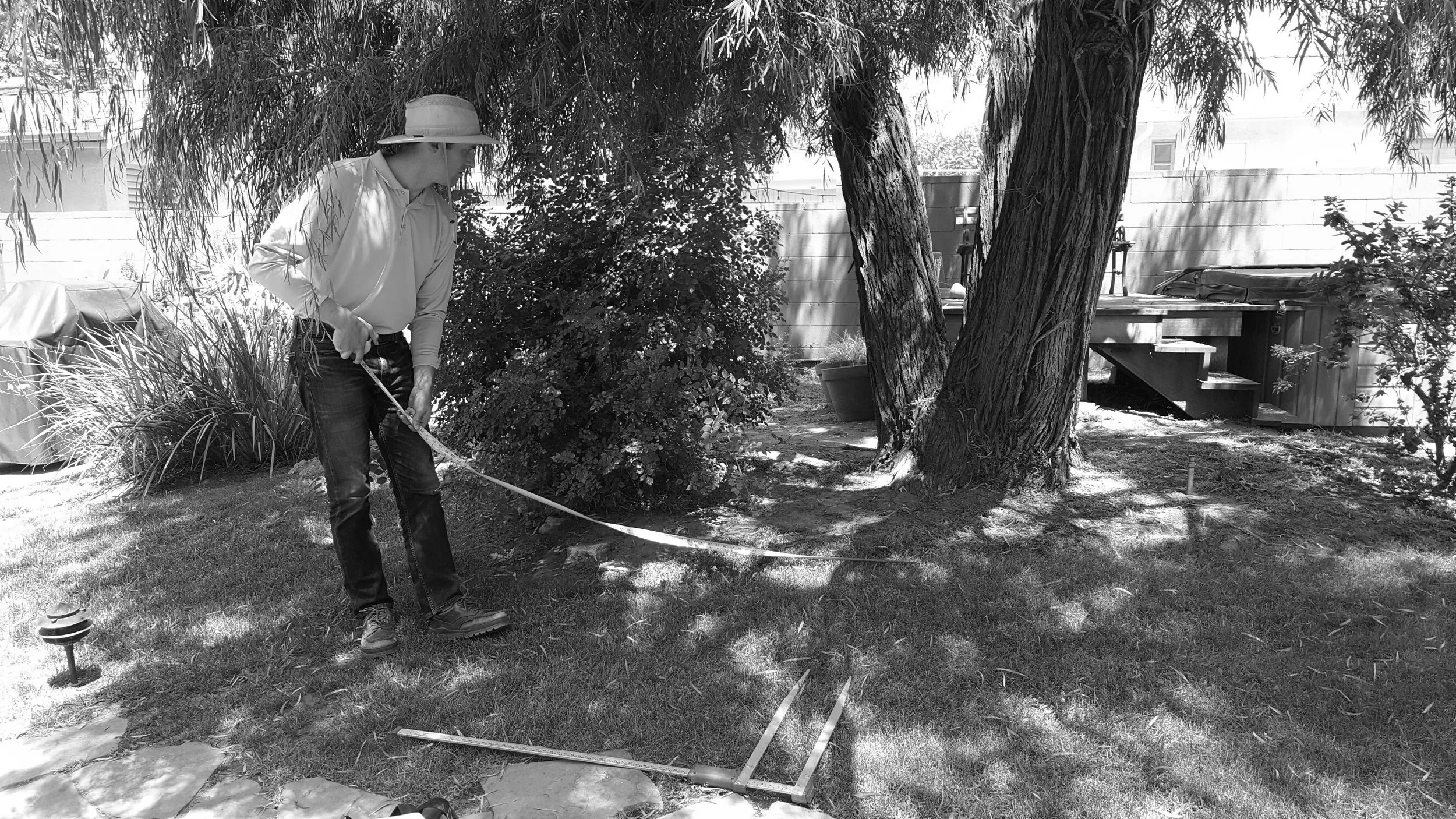 ARBORIST VISIT