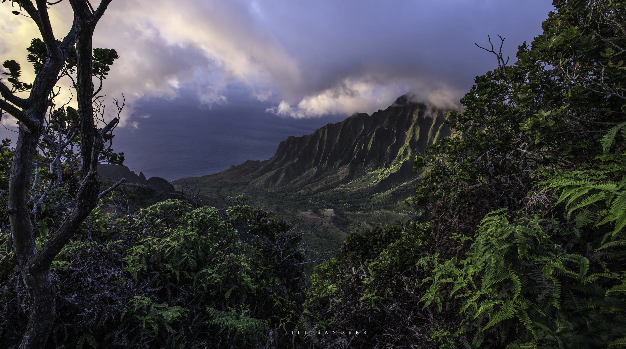 napali_web 2.jpg