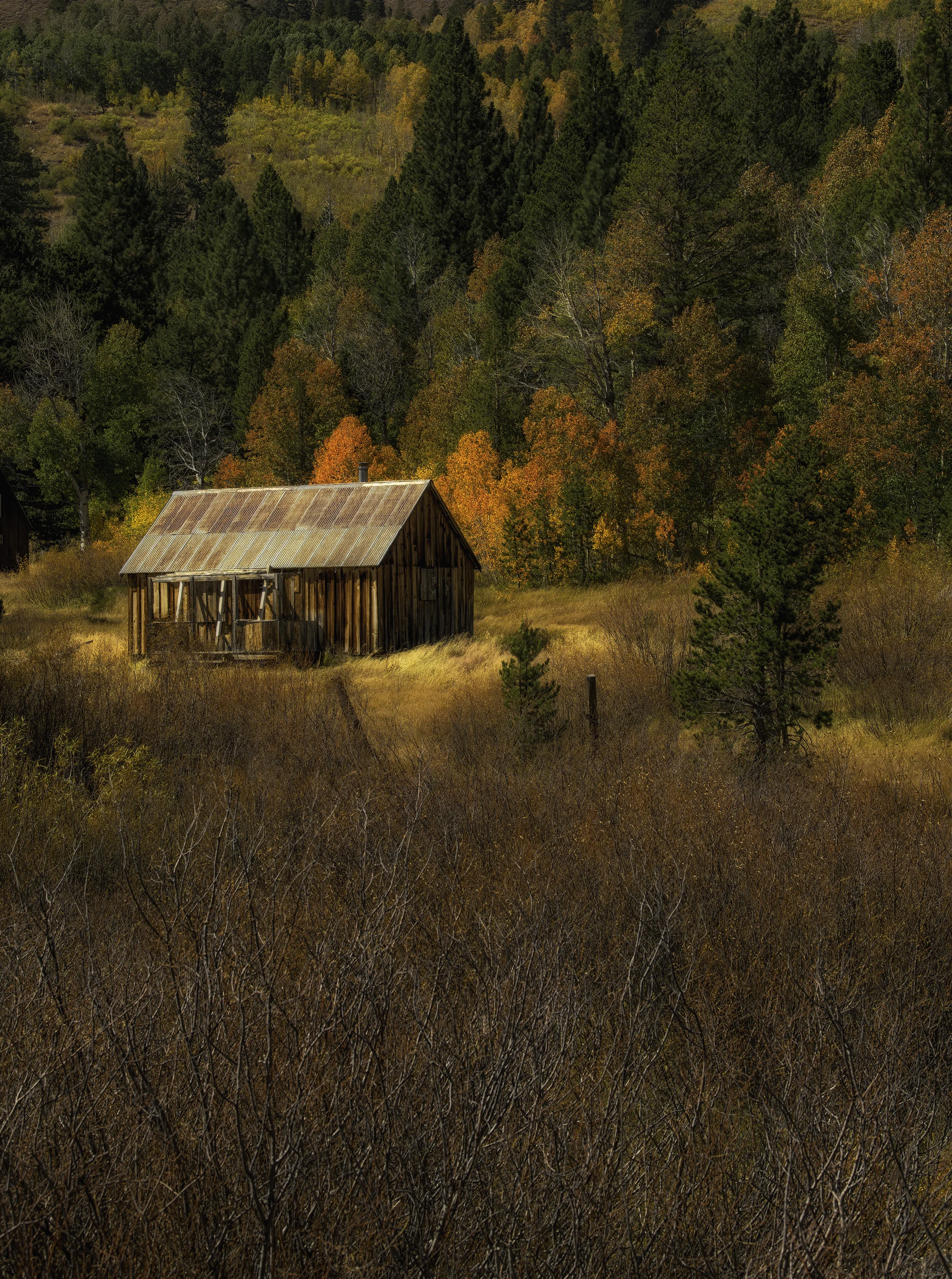 HopeValleyCabin_2.jpg