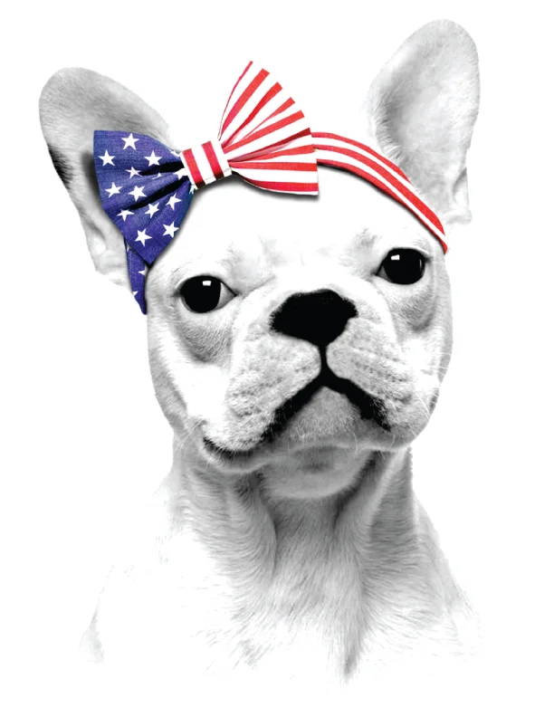 K4152A-USA-PUP.jpg