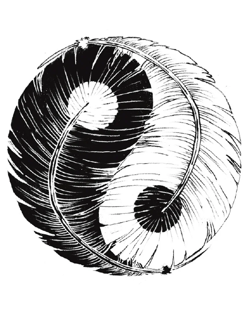 feather.jpg