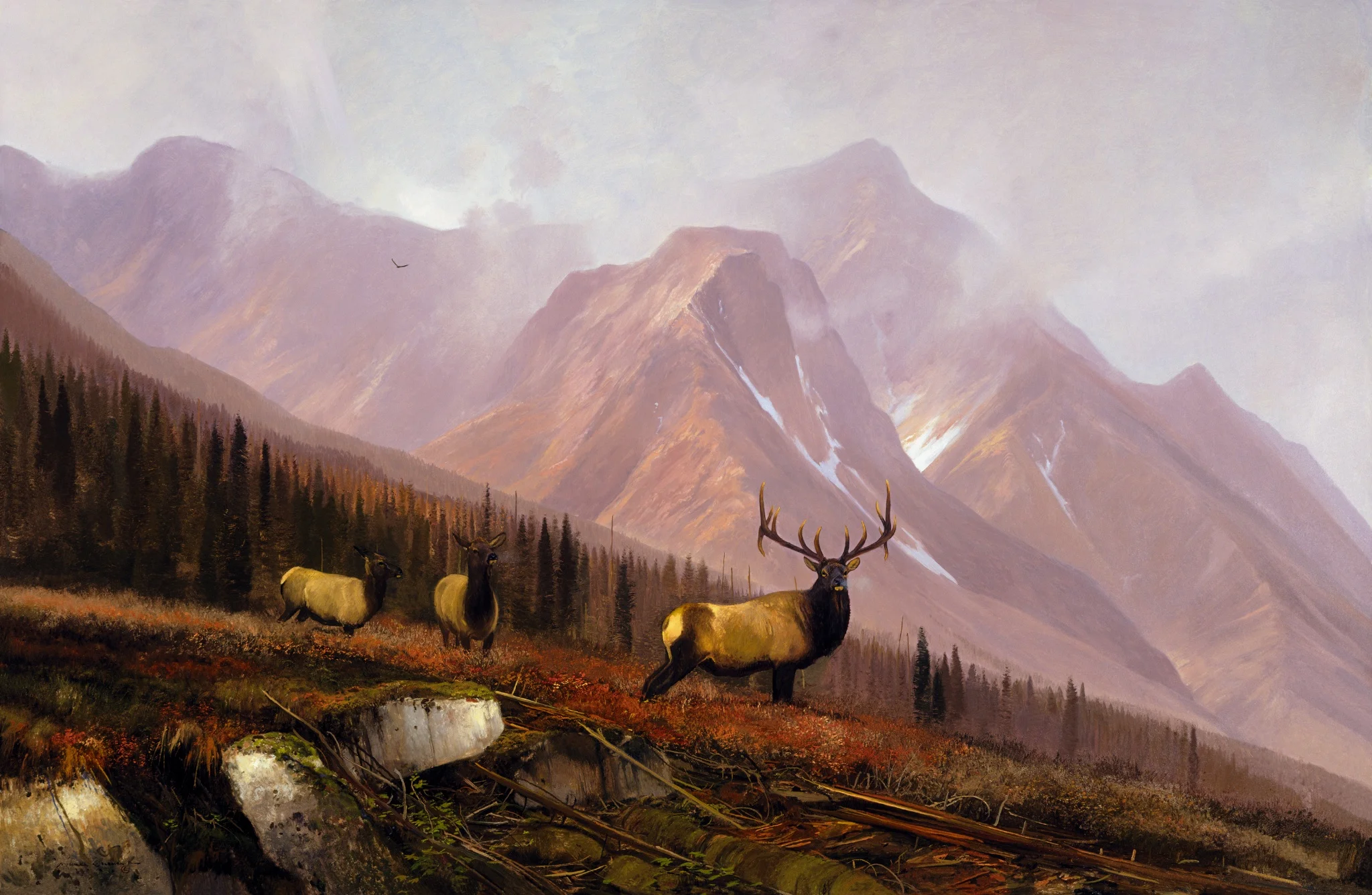 MBC 076 Diamond Fork - Autumn.jpg
