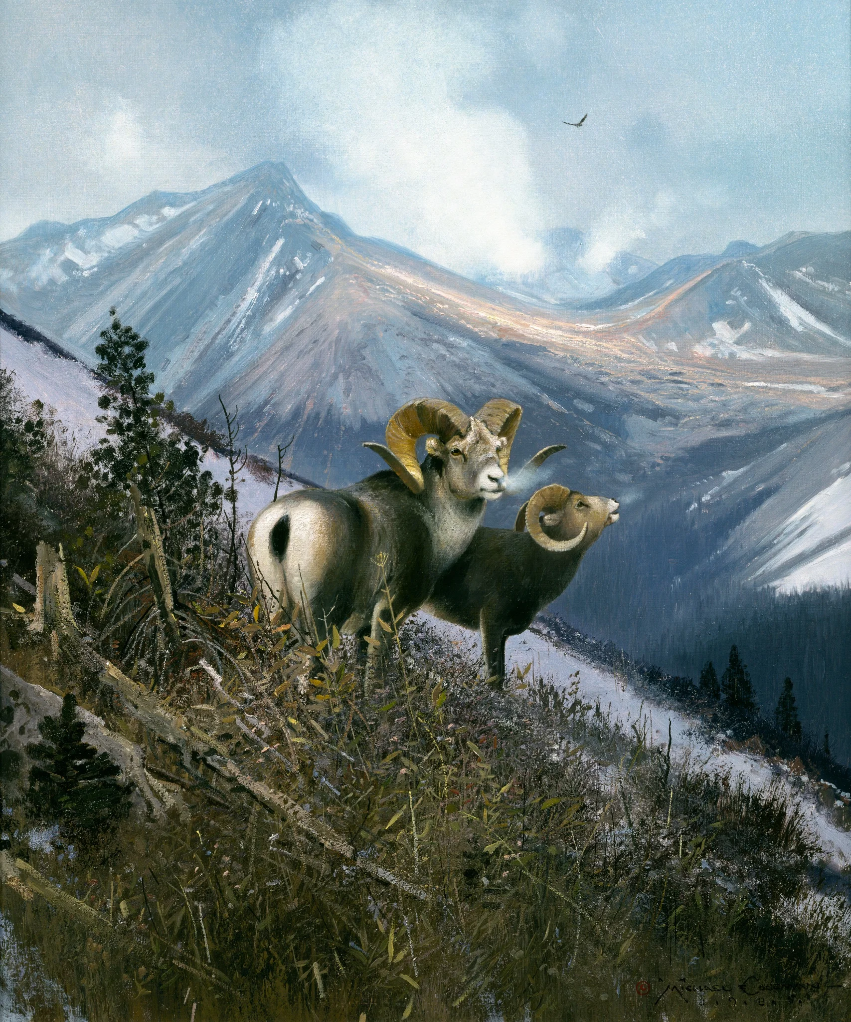 MBC 083 On the Ospika - Stone Sheep.jpg