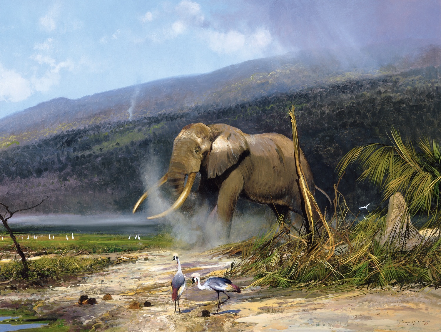African Tusker - Bull Elephant — Coleman Art