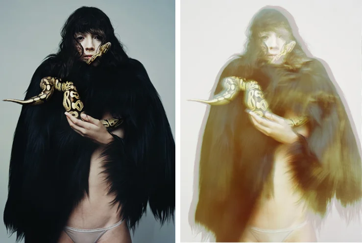 Lana monkey snake DOUBLE.jpg