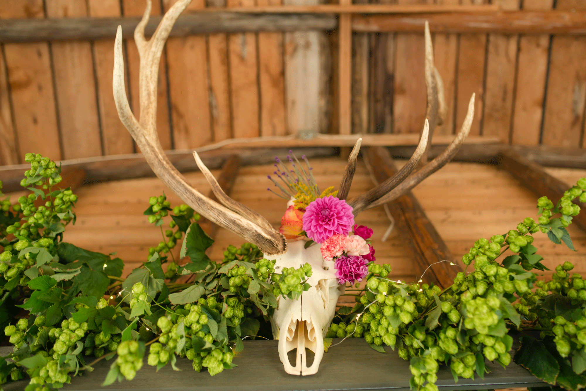 Rehearsal-Dinner-Sprinbrook-Farms-Finals-Stylized-Shoot-Springbrook-Fa-0249.png