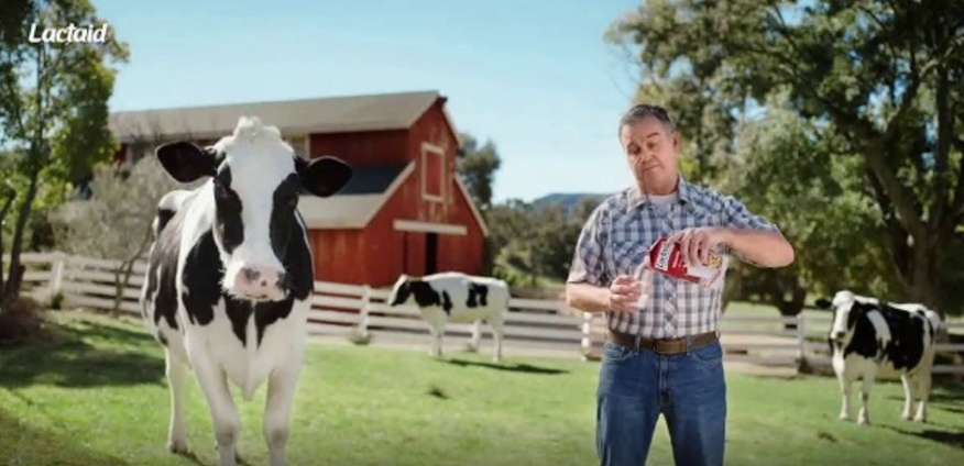 Lactaid, 'Real Cow'