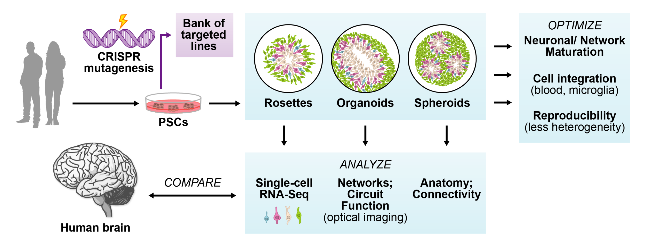 Figure for Nature Medicine