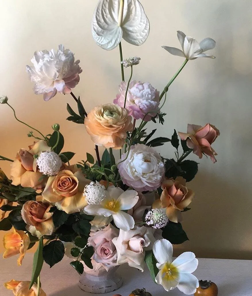 INSPIRED BY: a.p bio / Doan Ly — Rachel Laura Gorman
