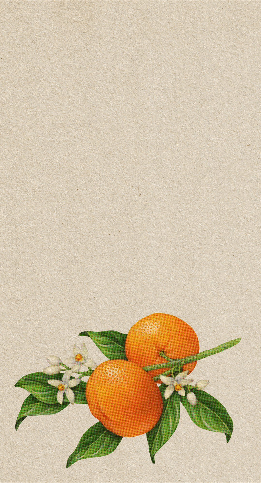 BG_1920x2000.png