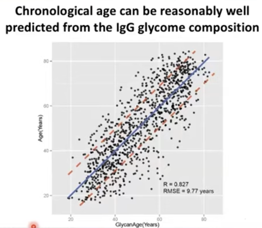 How GlycanAge Biological Age Testing Works - an Interview with Gordan ...