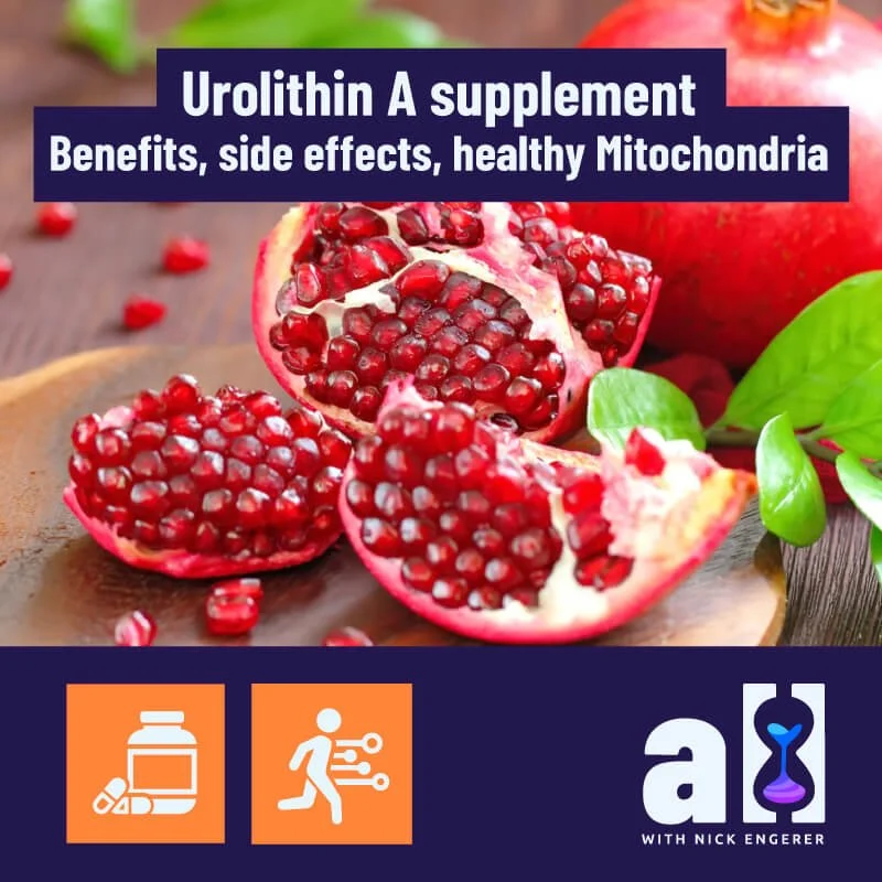 Urolithin A Supplement - Benefits, side effects, healthy Mitochondria