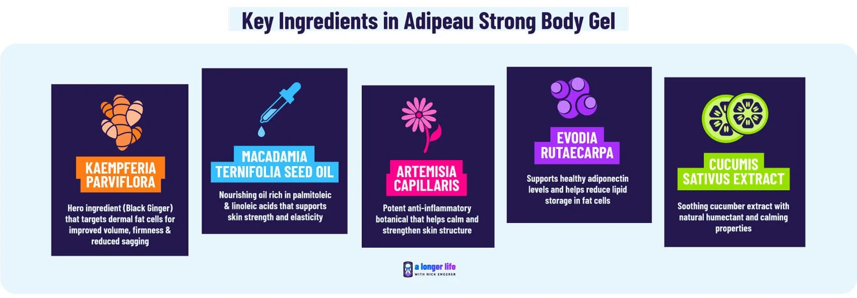 Adipeau key ingredients in the Strong Body Gel Skicnare