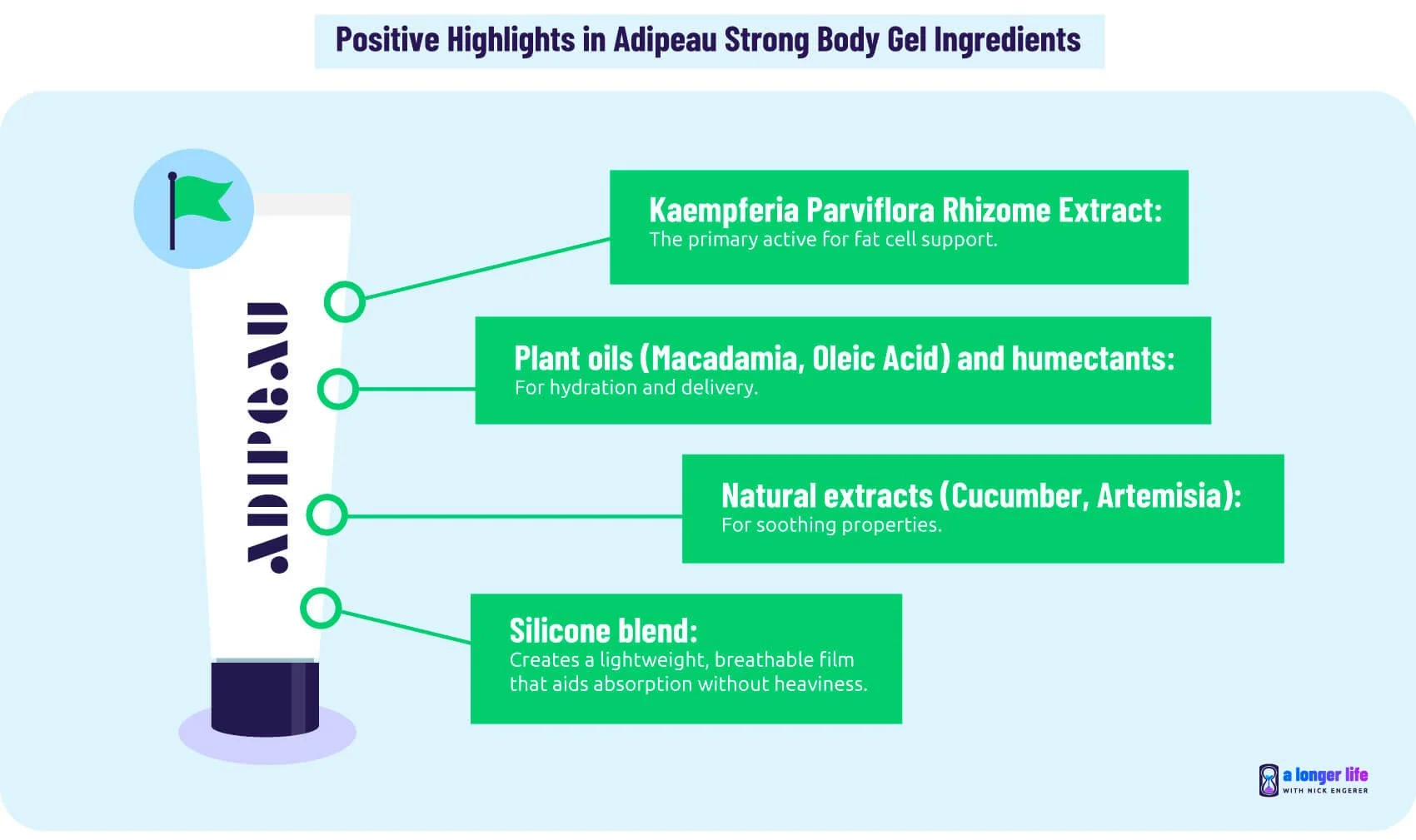 Adipeau ingredient list including positive highlights in the Strong Body Gel