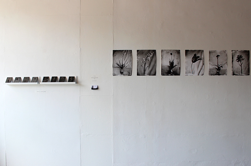 Ellen Lawes' ambrotypes.